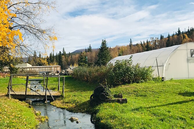 Chena Hot Spring Day Tour - Accessibility and Safety Considerations