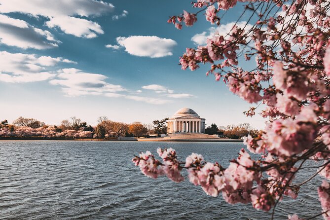 Cherry Blossom Private Bus Tour of Washington DC - Pickup and Meeting Arrangements