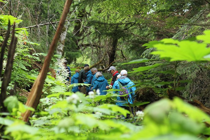 Chilkat Inlet Coastal Hike in Haines - Wildlife Sightings in Moose Meadows