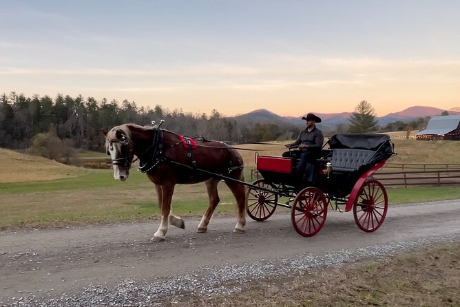 Cozy Farm Experience With Wagon Wheels and Acoustic Meal - Unique Horse-Drawn Carriage Ride