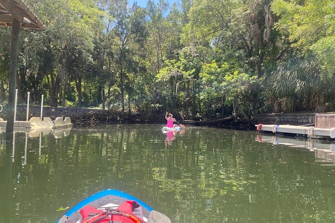 Crystal River Reserve State Park Electric Paddleboard Rentals - Equipment Specifications and Features