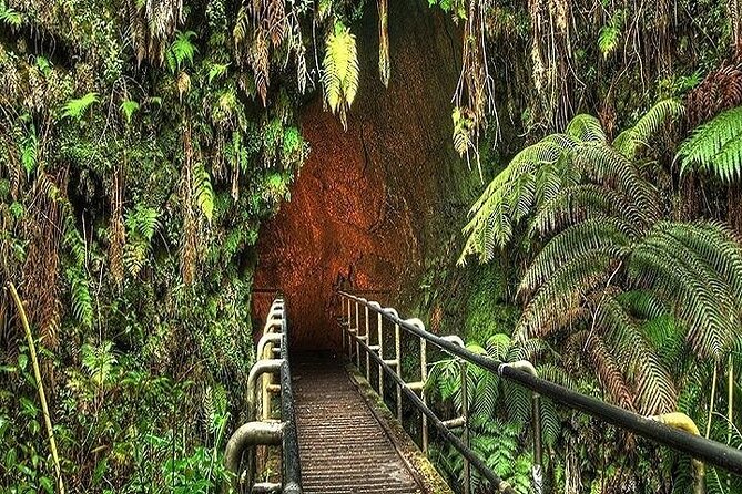 Deluxe Road to Hana Experience Review - Exploring the Activities: Swimming and Hiking
