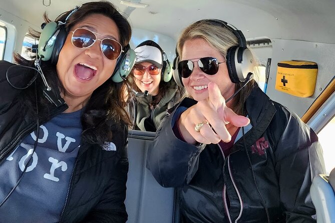 Denali Southside Adventure Flightseeing Tour Review - Pilot Commentary and Interaction