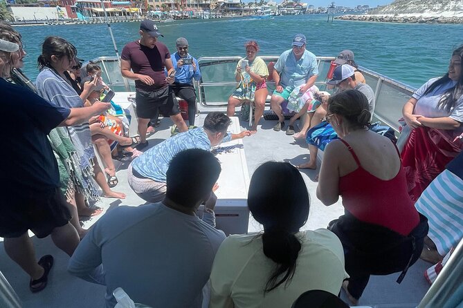 Destin Crab Island Tour - Highlights of the Destin Crab Island Tour