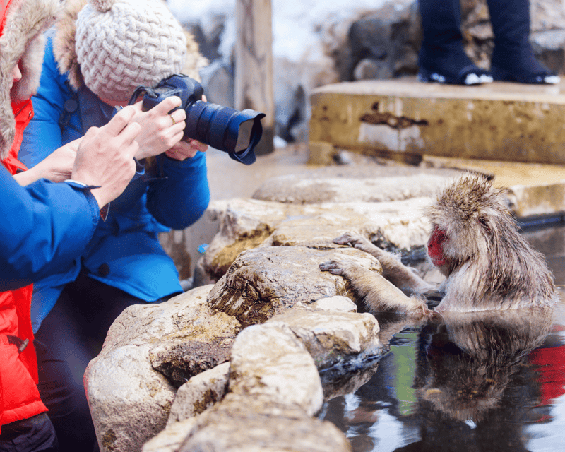 【Private】[Snow Monkey Park+Zenkoji Temple] From Nagano/Myoko - Exploring the Zenkoji Temple