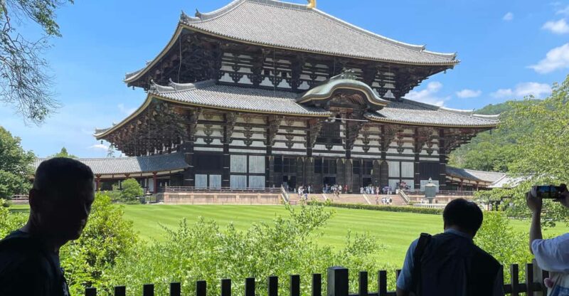 【Same-Day OK 】Osaka to Nara in 5 Hours Tour - Experience and Activities