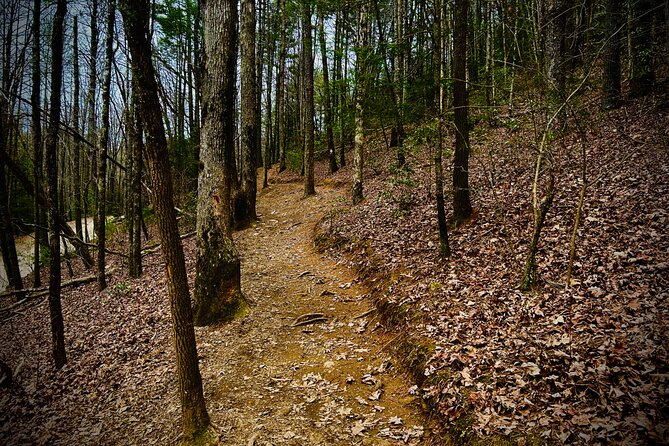 Elijay Hike W/ Waterfall & Wine Tasting Review - The Booking Process and Pickup Details
