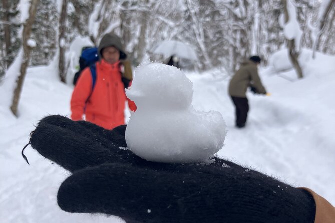 EN/CN Guided Snowshoeing and Snow Monkey Tour in Nagano - Safety and Health Considerations