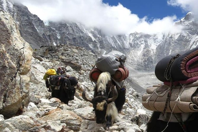 Everest Panorama Trek | Mt Everest View Trekking