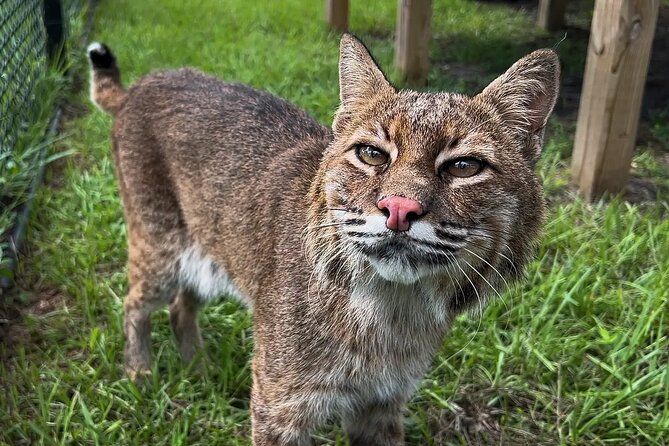 Explore Wildlife Sanctuaries on the WILD Palm Beaches Tour - Booking and Cancellation Policies