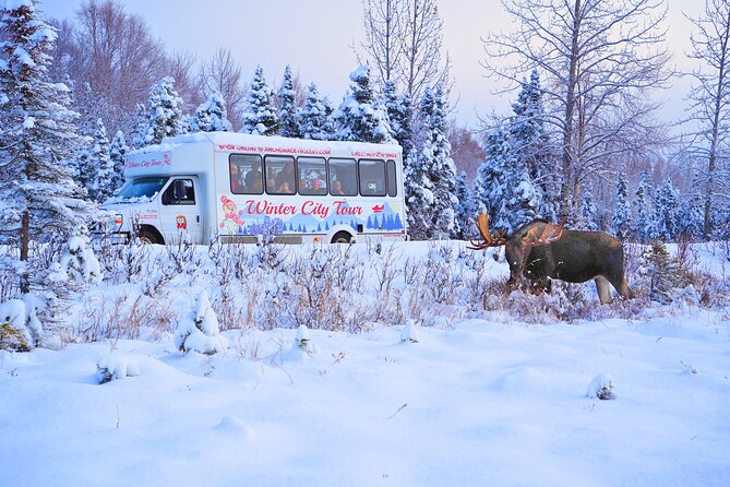 Exploring Anchorage on Winter Sundays Review - Guide Performance and Interaction