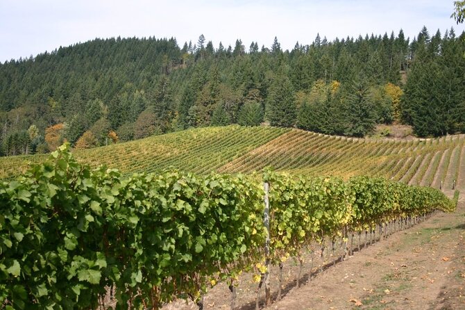 From Portland Private Willamette Valley Wine Tour - Recap