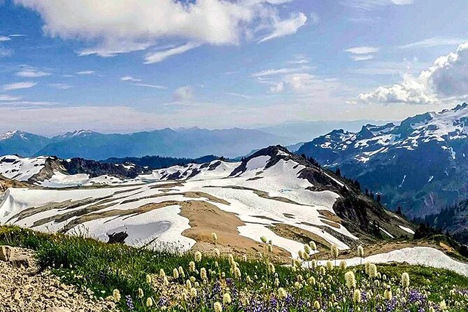 From Seattle - Private Mt Baker and Cascades Tour in SUV - Booking and Cancellation Policy