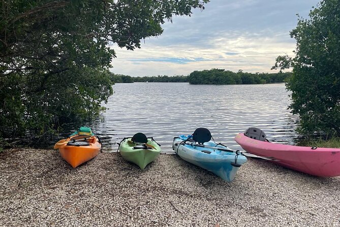 Full Day Everglades Combo Motorboat Eco and Kayak Tour - Tour Accessibility