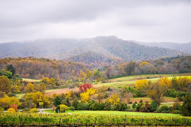Full-Day Private Virginia Wine Tour Experience From Washington - Accessibility and Participation