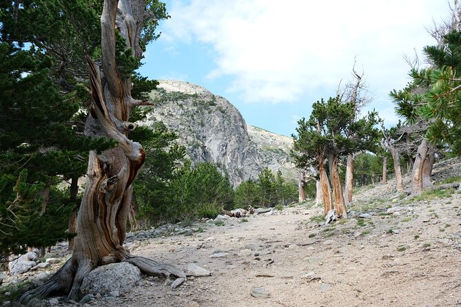 Guided Hike in Rockies Review - What to Expect During the Hike