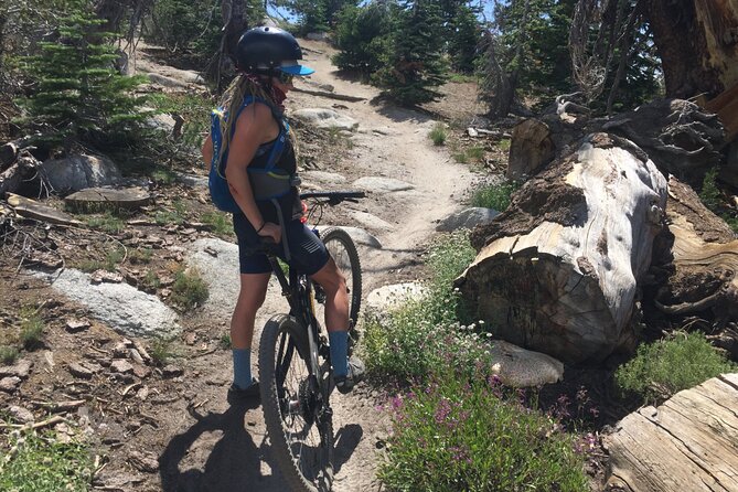 Guided Scenic Bike Experience Review - Meeting Point and Transportation Information
