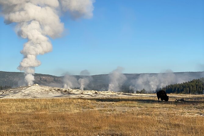 Guided Yellowstone National Park Trip - Health and Accessibility Considerations