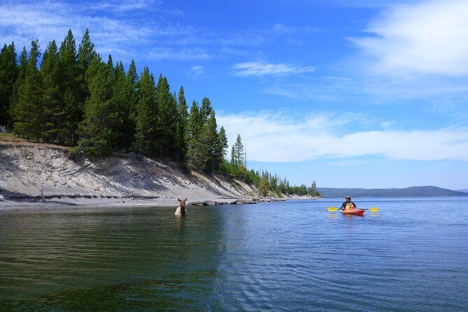 Half Day Paddle on Yellowstone Lake Review - Participant Requirements and Accessibility