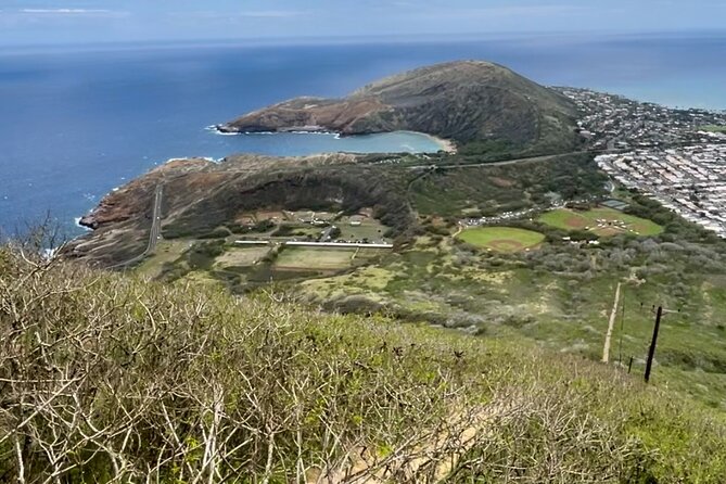 Hike to the Top of Kokohead Crater - Private Transportation/Group - Customer Testimonials and Experiences