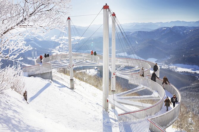 Hokkaido Powder Belt Pass ５days Ticket(SKI LIFT PASS) - Accessibility Considerations