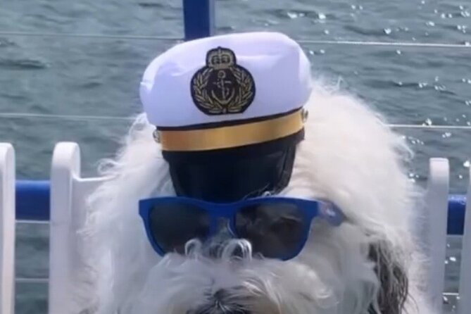 Howl O Ween Doggy Costume Party Cruise - Meeting and Pickup Information