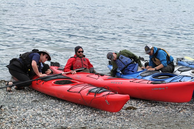 Inside Passage Sea Kayaking Review - Details About the Picnic Lunch on the Beach