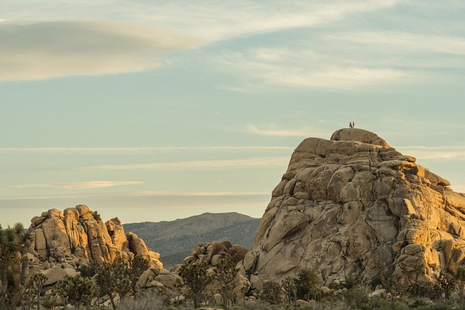 Joshua Trees Hidden Valley Tour Review - First Impressions and Starting the Journey