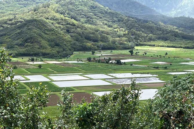 Kauai Island Private Guided Movie Tour Review - Lunch and Local Delicacies