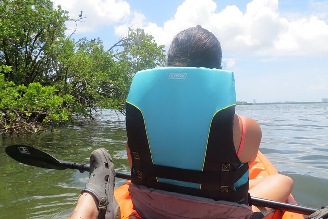 Kayak Eco Tourism in Miami Bay - Pricing and Booking Information