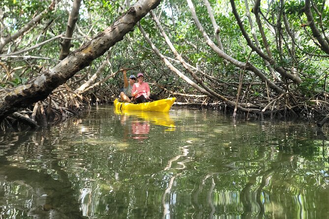 Kayak Through Mangrove Forests Review - Inclusions and Amenities Provided