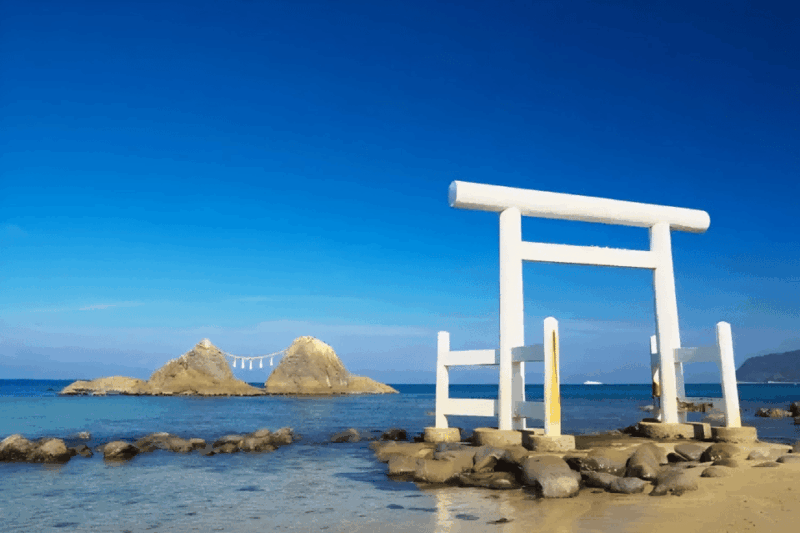 Kyushu 9-Hour Chartered Day Trip｜ Fukuoka - Vehicle and Driver Information