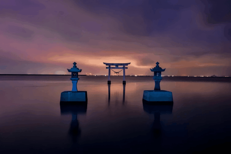 Kyushu 9-Hour Chartered Day Trip｜ Kumamoto - Vehicle and Driver Information