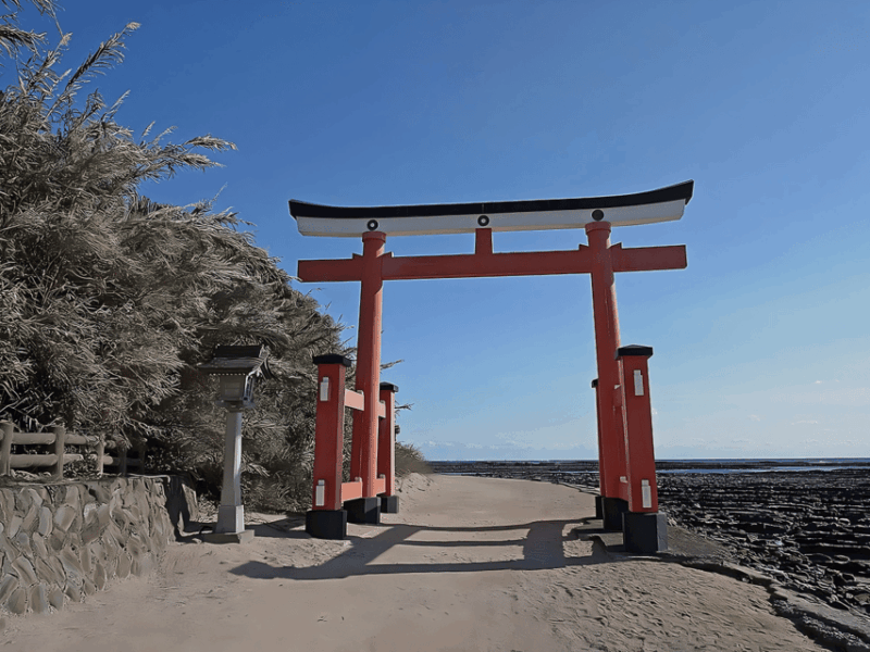 Kyushu 9-Hour Chartered Day Trip｜ Miyazaki - Vehicle and Driver Information