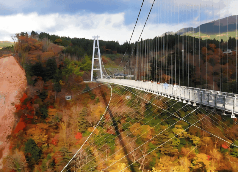 Kyushu 9-Hour Chartered Day Trip｜ Oita - Driver and Vehicle Information
