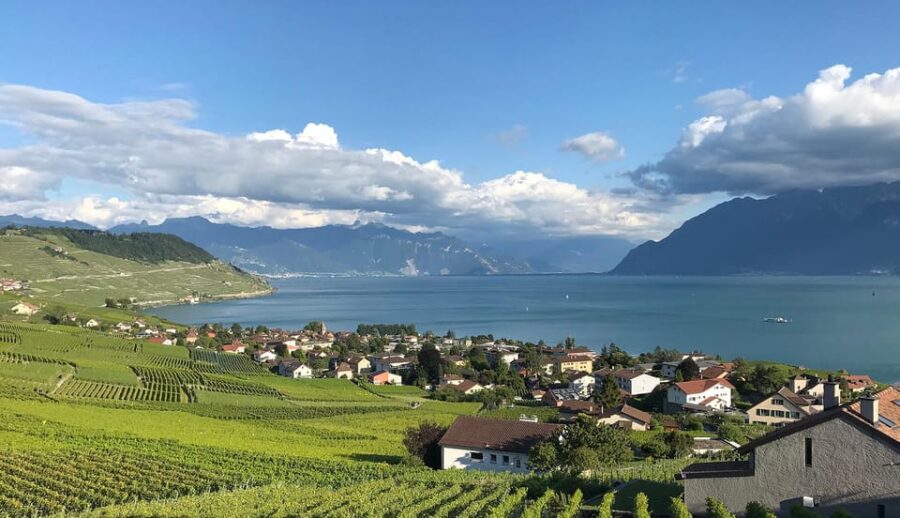 Lavaux: Vineyard Experience