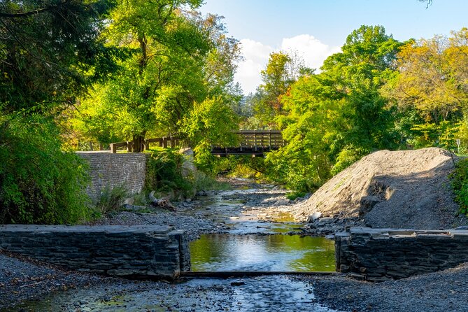 Love Struck Strolls: Ithaca's Romantic Walk - Scenic Spots Along the Route