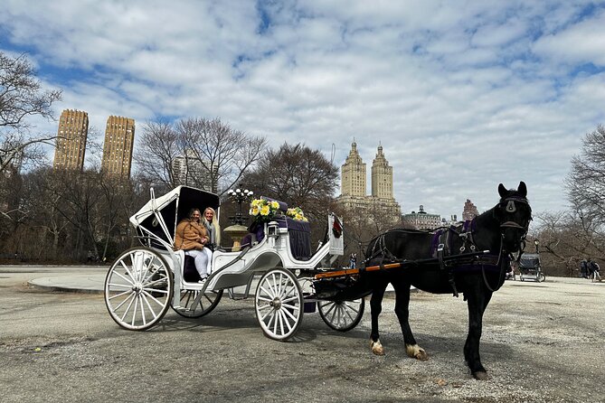 Luxury Horse and Carriage Tours Review - Meeting and Starting Point Details