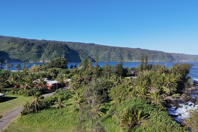 Maui's Sea Turtles, Waterfalls and Road to Hana Adventure - Bottled Water and Gratuities