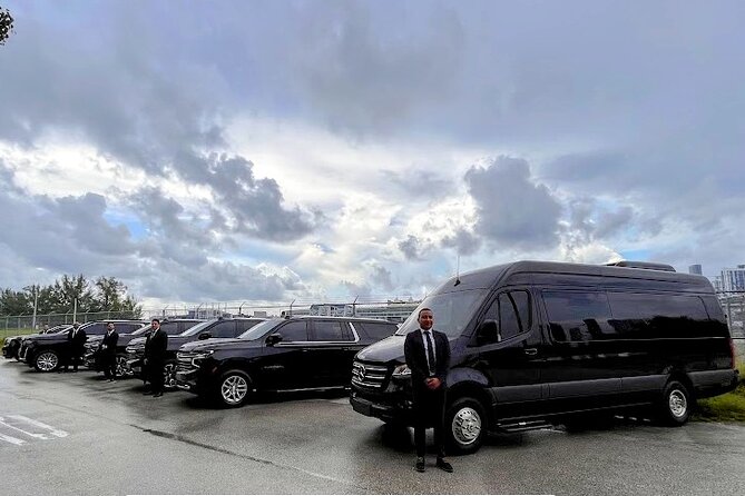 Miami Airport & Port Transfer Service Review - Review of City and Personalized Tours