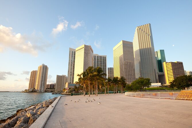 Miami Downtown Highlights Private Guided Walking Tour - Highlights of the Walking Tour