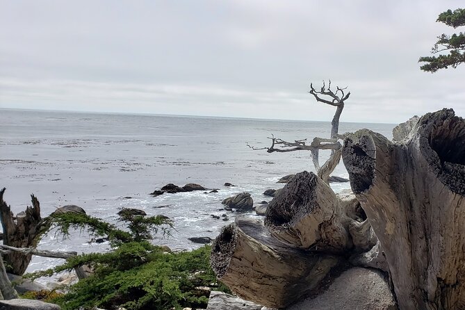 Monterey & Carmel Sightseeing Private Tour (10-Hour Minimum) - Cancellation Policy