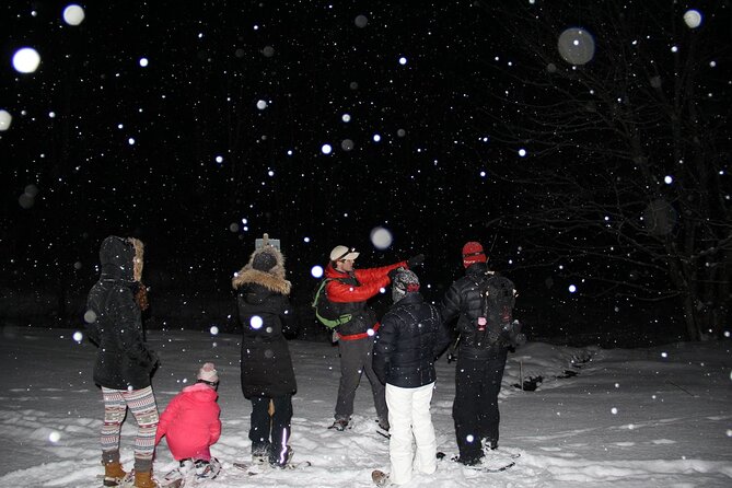 Moonlight Cabin Snowshoe Tour Review - Meeting Point Details: Starting the Adventure