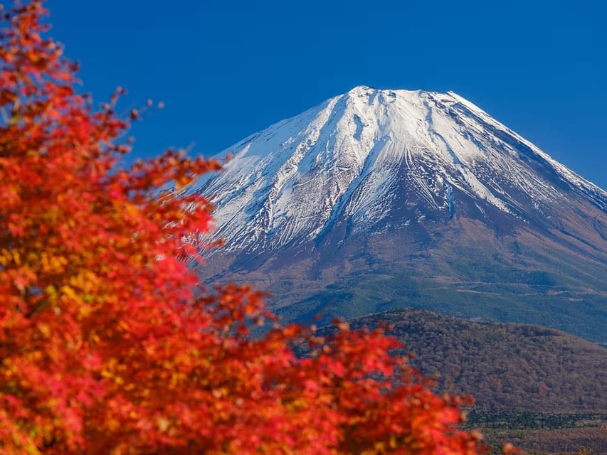 Mt. Fuji : Tailor-Made Day Trip With English Speaking Driver