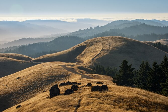 Muir Woods Self-Guided Driving and Walking Audio Tour - Flexibility and Value