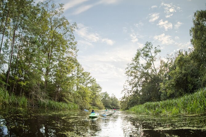 New Orleans Bayou Adventure: Kayak Rental - Accessibility Considerations