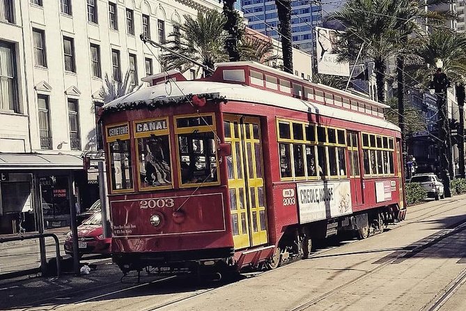 New Orleans Private Vehicle City Tour - Explore the French Quarter