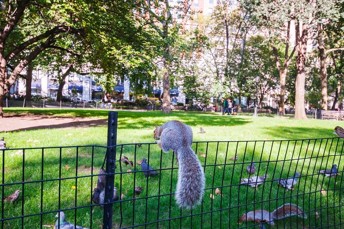 New York Celebrity Homes Self-Guided Walking Audio Tour - Accessibility and Transportation