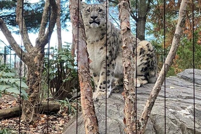 New York Central Park Zoo Ticket - Tips for Visiting