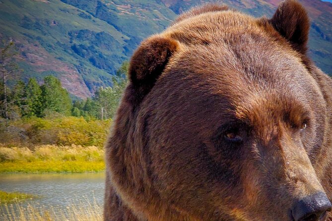 Northern Lights Experience From Anchorage Review - Booking and Cancellation Policies